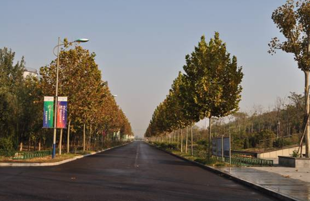 濟(jì)南市生活廢棄物處理中心封場(chǎng)一期工程景觀綠化施工第一標(biāo)段